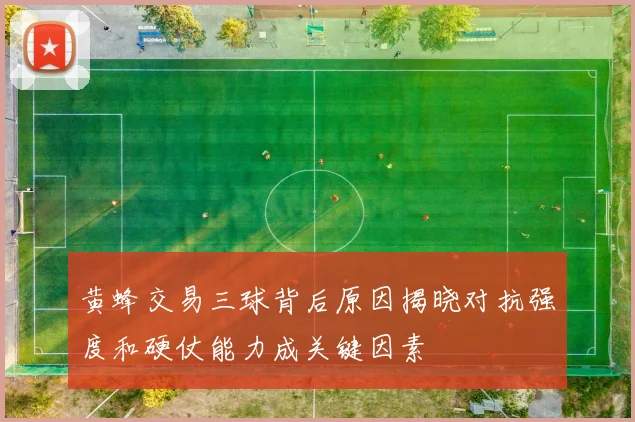 黄蜂交易三球背后原因揭晓对抗强度和硬仗能力成关键因素