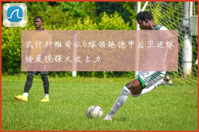 武什科维奇以6球领跑德甲后卫进球榜展现强大攻击力